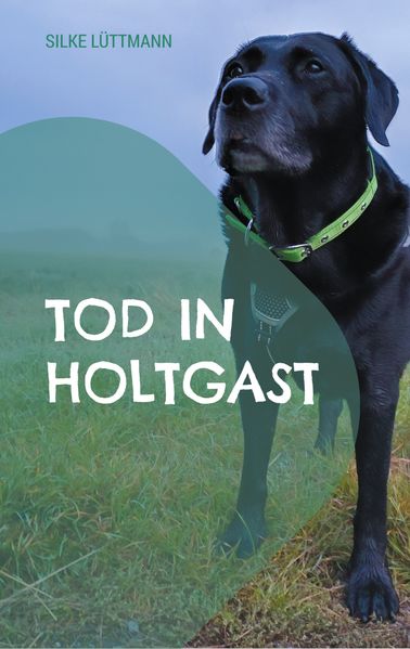Cover von Tod in Holtgast