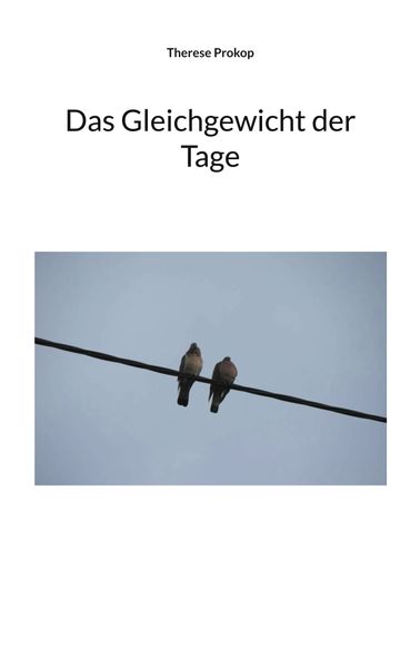 Cover von Das Gleichgewicht der Tage