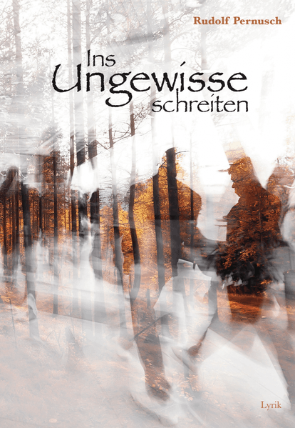 Cover von Ins Ungewisse schreiten