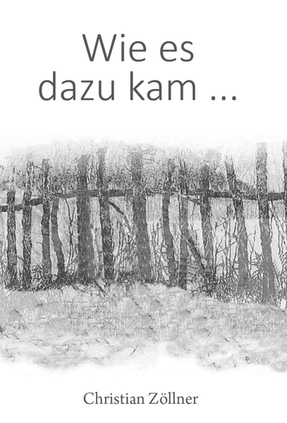 Cover von Wie es dazu kam