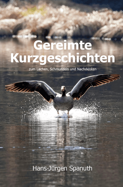 Cover von Gereimte Kurzgeschichten