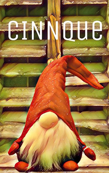 Cover von Cinnque