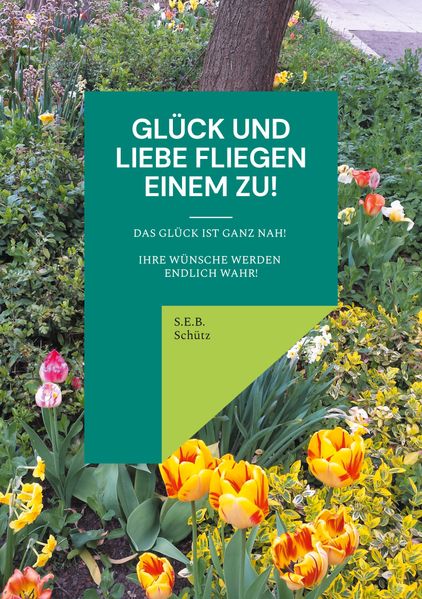 Cover von Glück und Liebe fliegen einem zu!