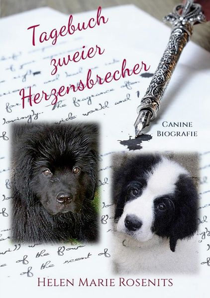 Cover von Tagebuch zweier Herzensbrecher