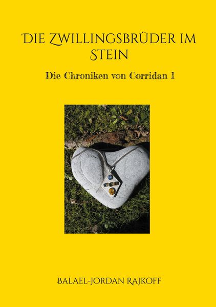 Cover von Die Zwillingsbrüder im Stein