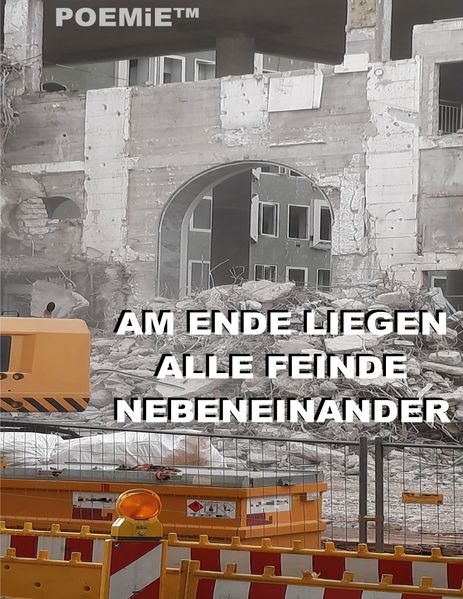 Cover von Am Ende liegen alle Feinde nebeneinander