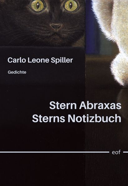 Cover von Stern Abraxas Sterns Notizbuch