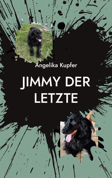 Cover von Jimmy der Letzte
