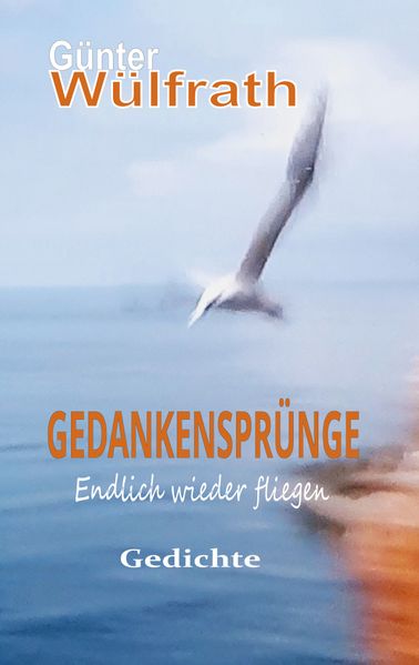 Cover von Gedankensprünge