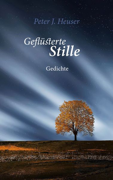 Cover von Geflüsterte Stille