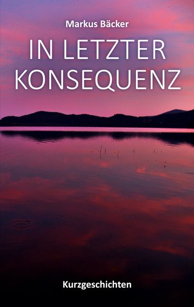 Cover von In letzter Konsequenz
