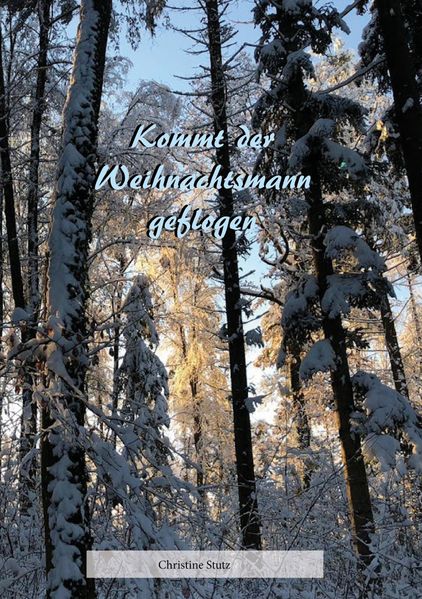 Cover von Kommt der Weihnachtsmann geflogen