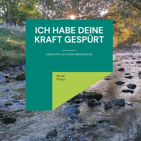 Cover von Ich habe deine Kraft gespürt