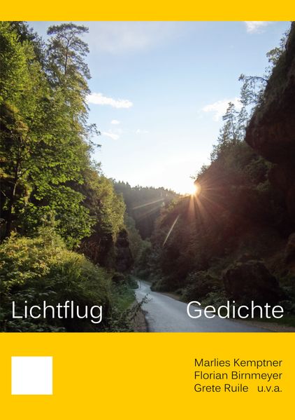 Cover von Lichtflug