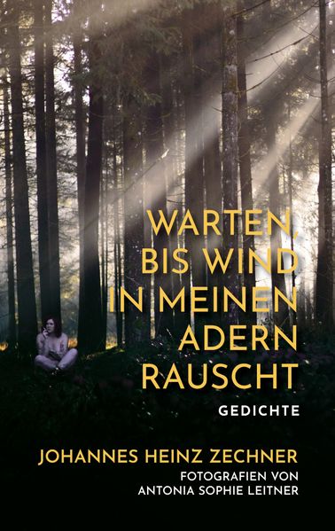 Cover von Warten, bis der Wind in meinen Adern rauscht