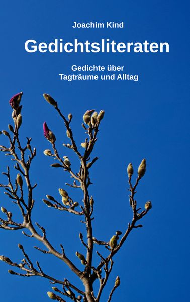 Cover von Gedichtsliteraten