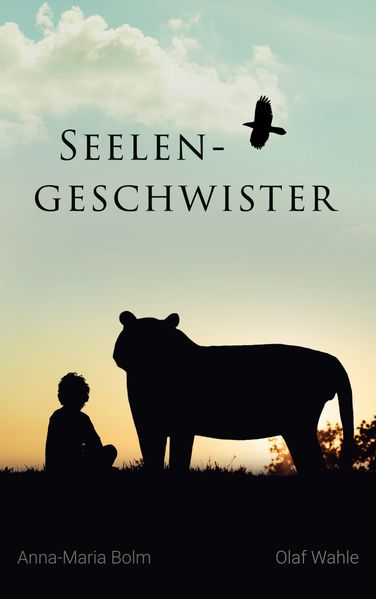 Cover von Seelengeschwister