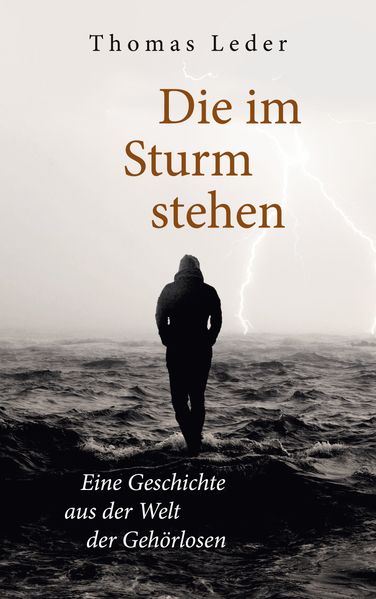 Cover von Die im Sturm stehen