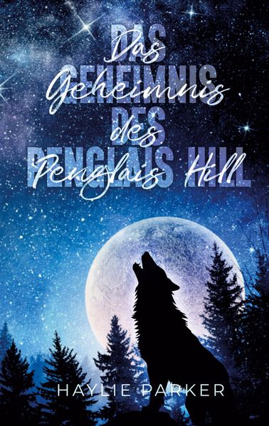 Cover von Das Geheimnis des Penglais Hill