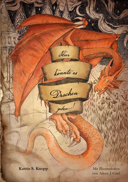 Cover von Hier könnte es Drachen geben … !