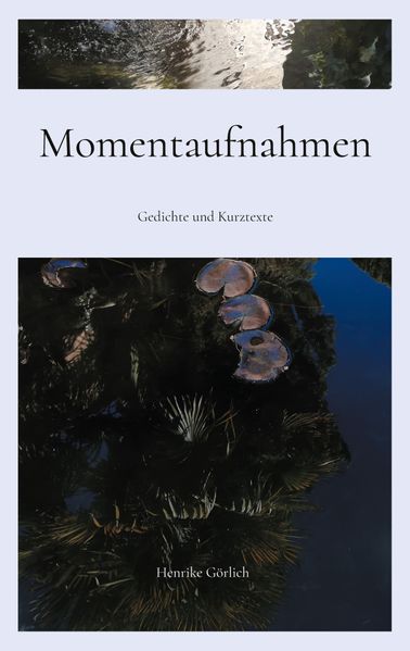 Cover von Momentaufnahmen
