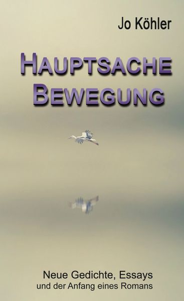 Cover von Hauptsache Bewegung