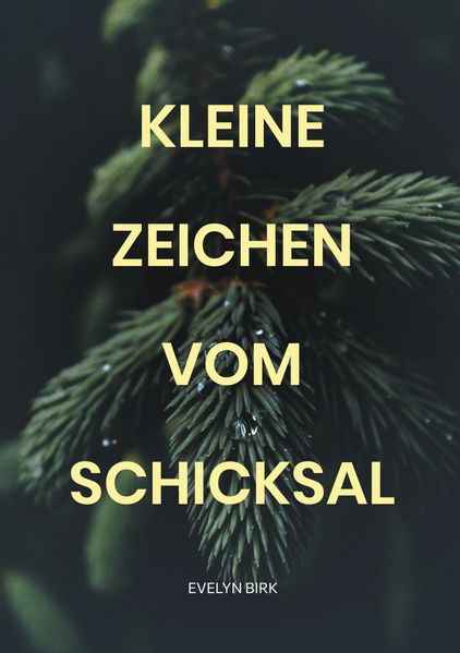 Cover von Kleine Zeichen vom Schicksal