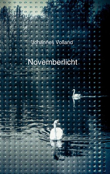 Cover von Novemberlicht