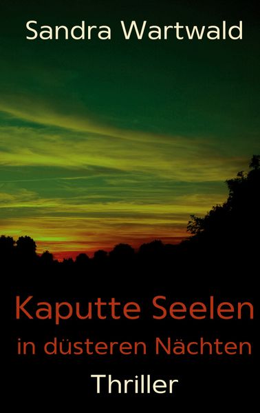 Cover von Kaputte Seelen in düsteren Nächten