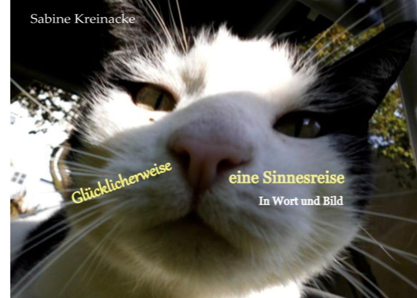 Cover von Glücklicherweise eine Sinnesreise