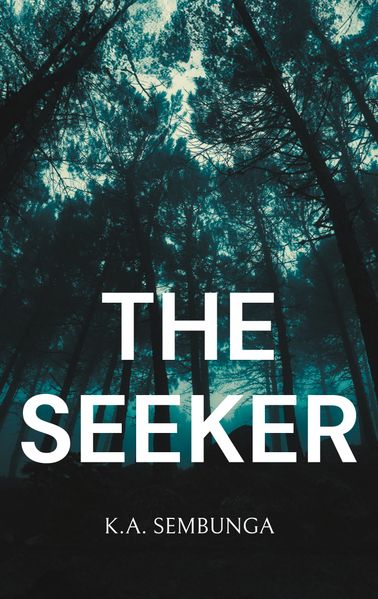 Cover von The Seeker
