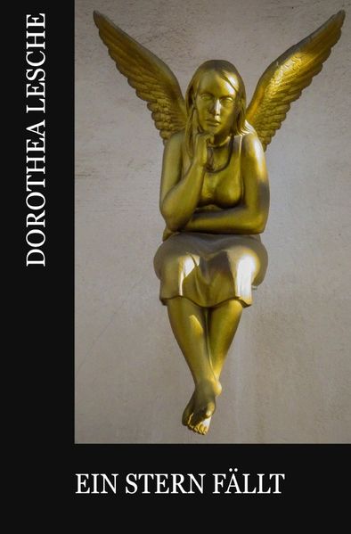 Cover von Ein Stern fällt