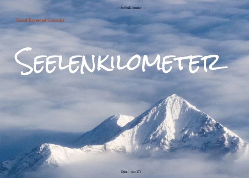 Cover von Seelenkilometer