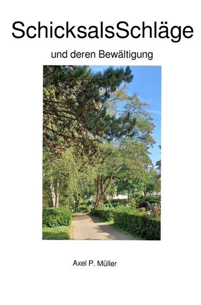 Cover von SchicksalsSchläge