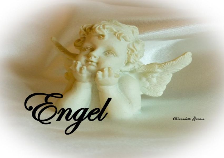 Cover von Fleurs/Engel