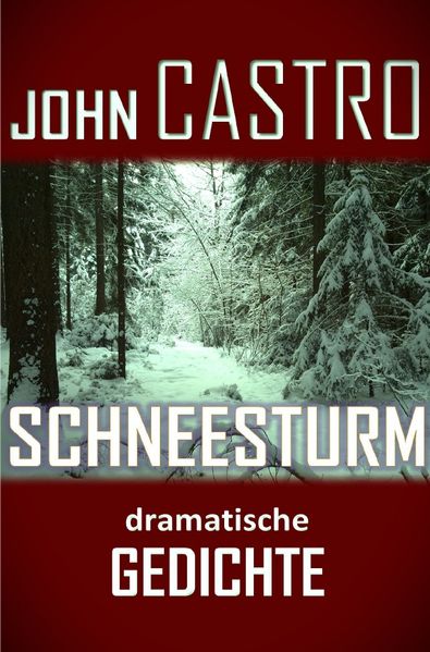 Cover von Schneesturm