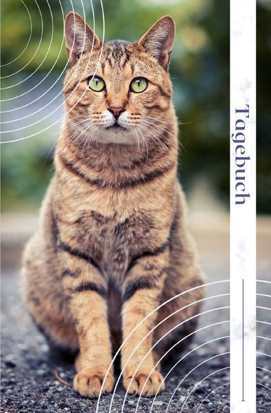 Cover von Tagebuch Katze