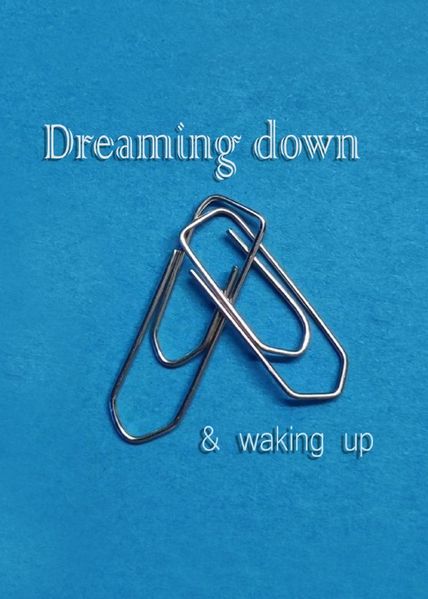 Cover von Dreaming Down and Waking Up