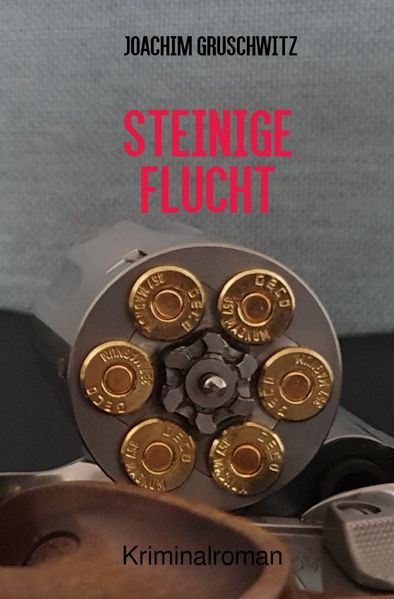 Cover von Steinige Flucht