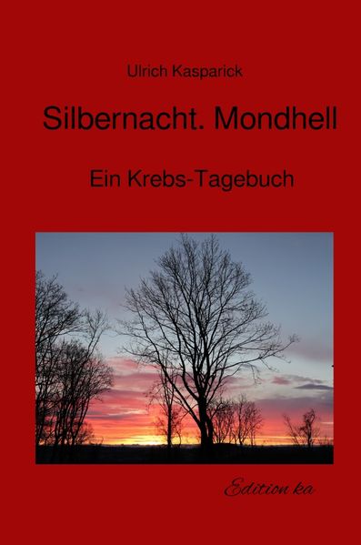 Cover von Silbernacht, mondhell
