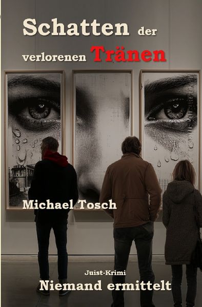 Cover von Niemand ermittelt/Schatten der verlorenen Tränen