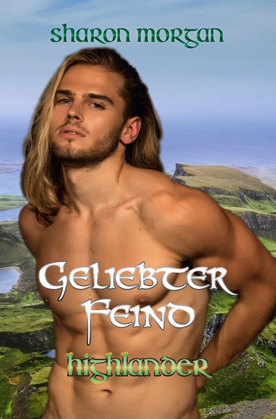 Cover von Geliebter Feind