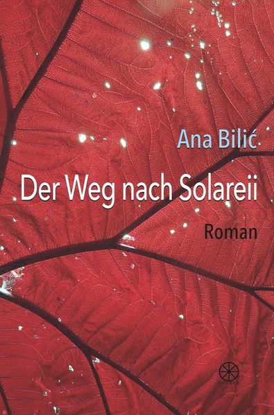 Cover von Der Weg nach Solareii