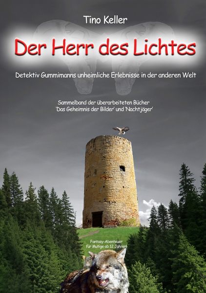 Cover von Der Herr des Lichtes