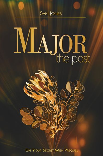 Cover von Major – the past