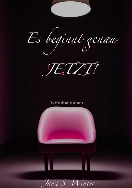 Cover von Es beginnt genau JETZT!