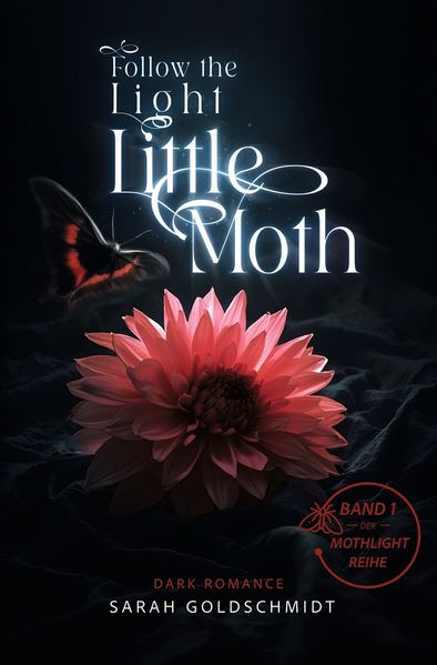 Cover von Follow the light – little moth