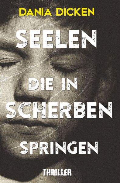 Cover von Seelen, die in Scherben springen