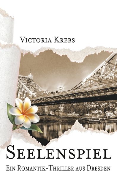 Cover von Seelenspiel