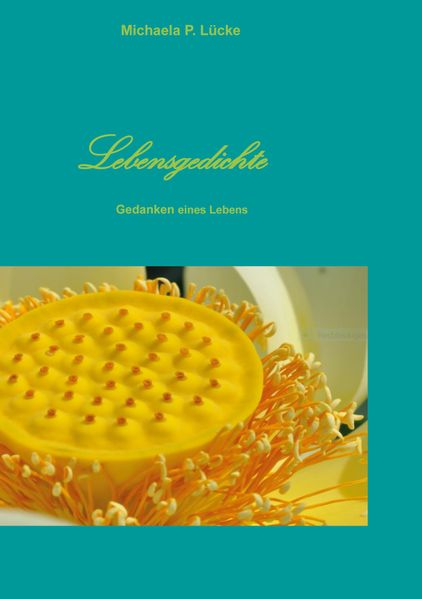 Cover von Lebensgedichte